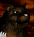 Kuma — Tekken 2 portrait